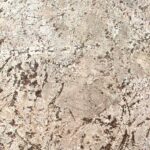 Bianco Antico granite countertop surface