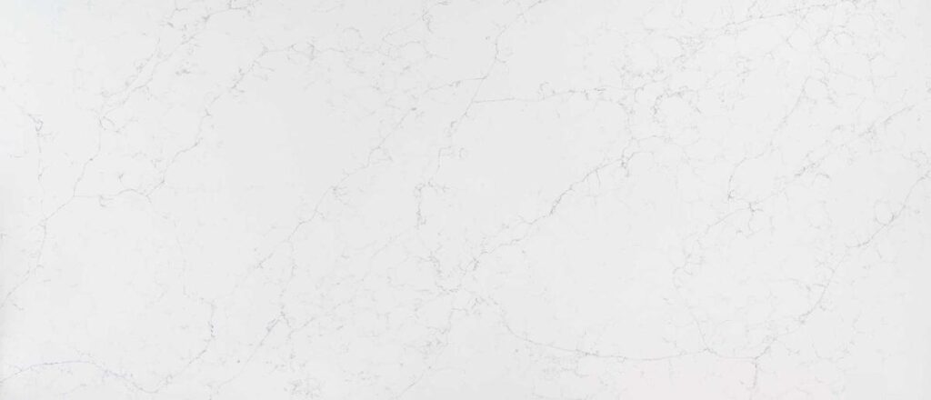 Calacatta Botanica quartz countertop surface