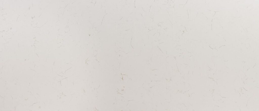 Carrara Trigato quartz countertop surface